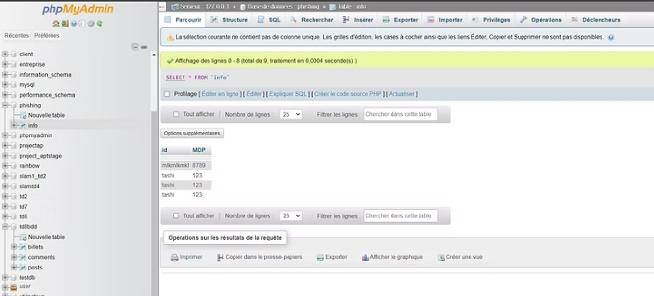 Page Phishing - Capture 1
